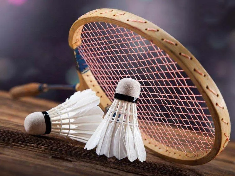 Cá cược cầu lông trở nên thịnh hành gần đây