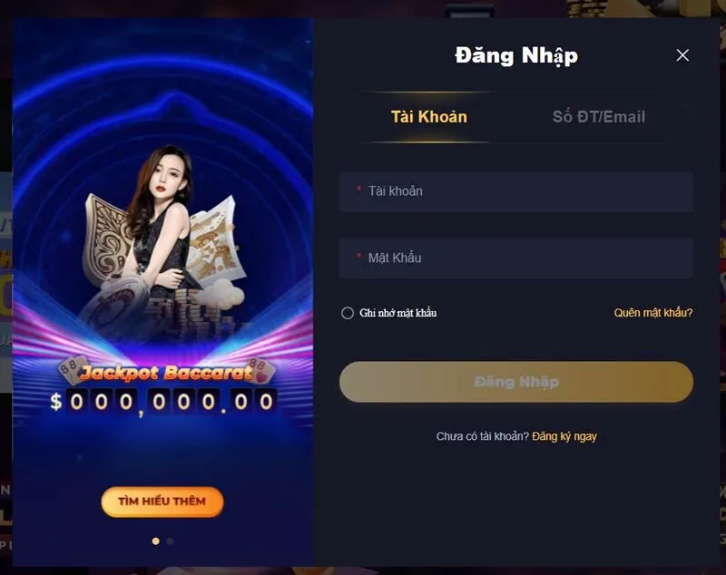 Biểu mẫu đăng nhập tài khoản